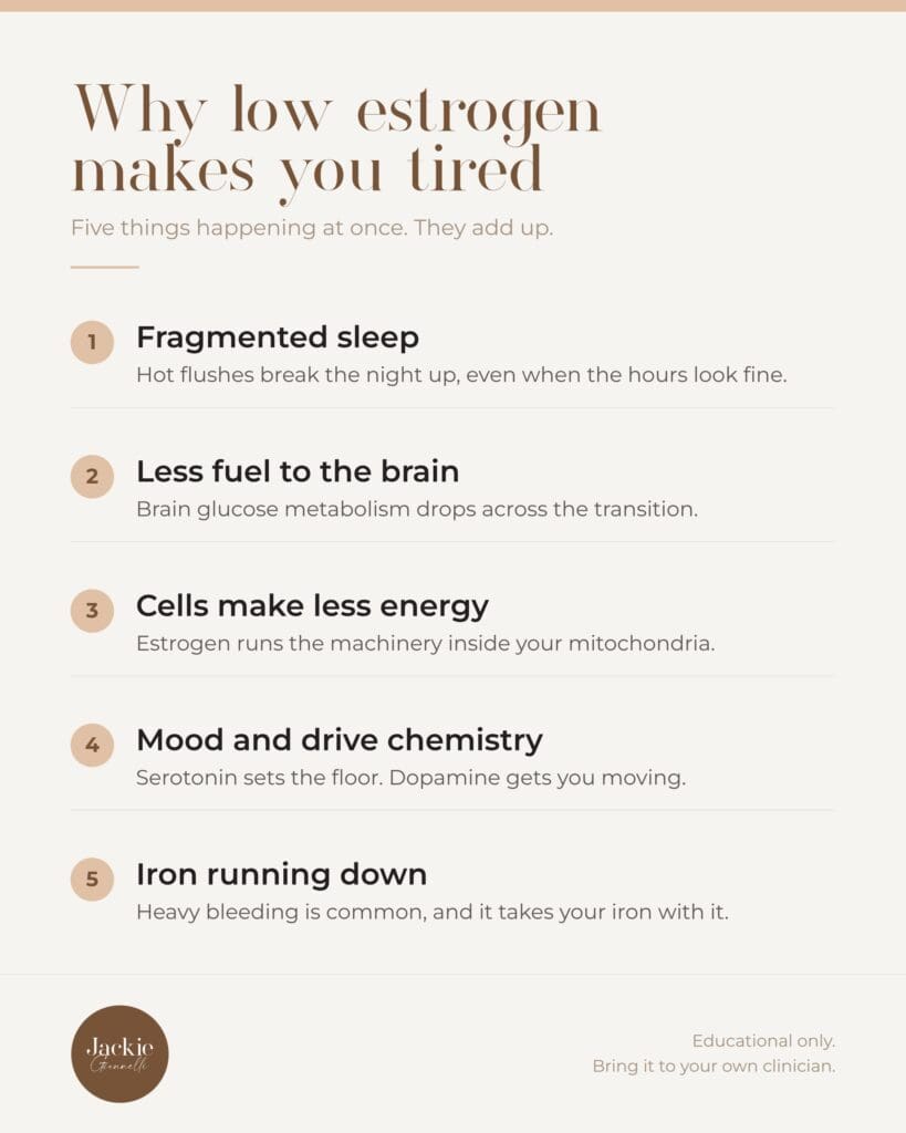 Five things low estrogen does that cause fatigue in perimenopause: fragmented sleep, less fuel to the brain, cells making less energy, mood and drive chemistry, and iron running down.