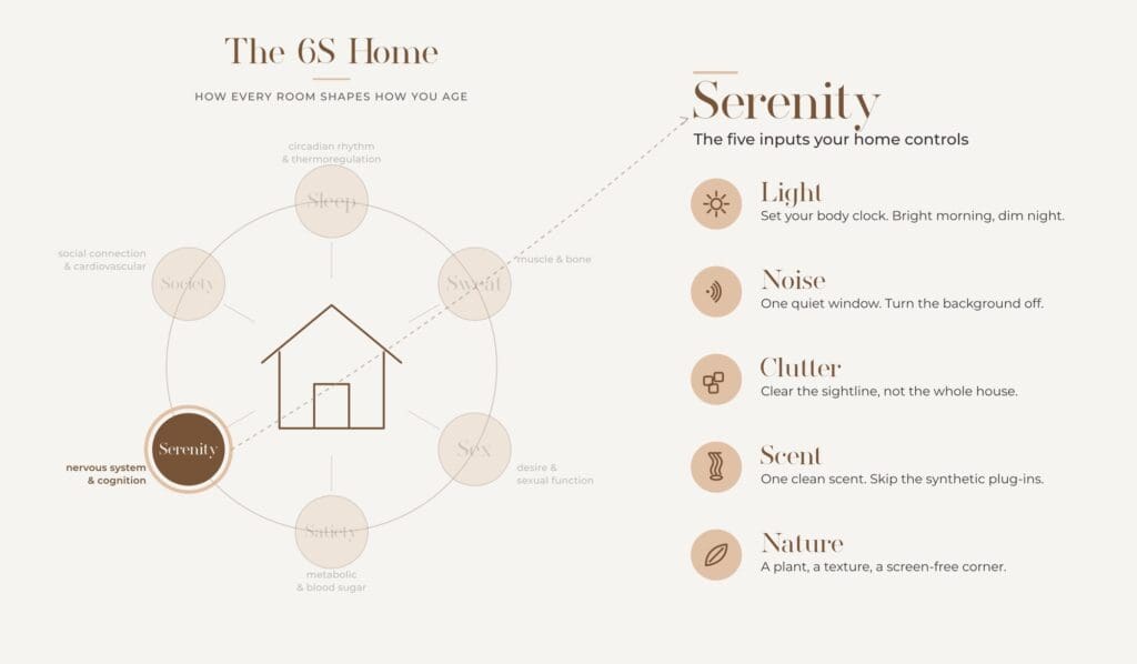 Diagram showing 5 ways to reset your nervous system in your home: Light, Noise, Clutter, Scent, Nature